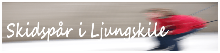 Skidspr i Ljungskile